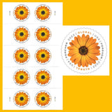 Sheet of 10 NEW Global Forever African Daisy stamps USA ! - $1.70 Daisies