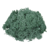 4.6oz Preserved Reindeer Moss, Grass Green Decorative Artificial Fake Moss Green Plant