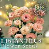 Coral Momento Lisianthus Seeds - 125-5000 Seeds Flower Seed Non Gmo Heirloom Flowering Plants
