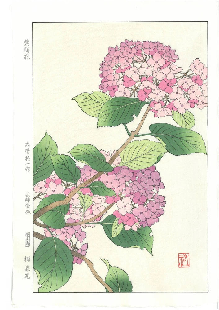 Yuichi Osuga Woodblock Print "Hydrangea" Flower Showa Original Hydrangea