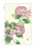 Yuichi Osuga Woodblock Print "Hydrangea" Flower Showa Original Hydrangea