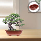 4 Pcs Thickened Flower Pot Office Bonsai Accessories Succulent Garden Pots Garden Plants