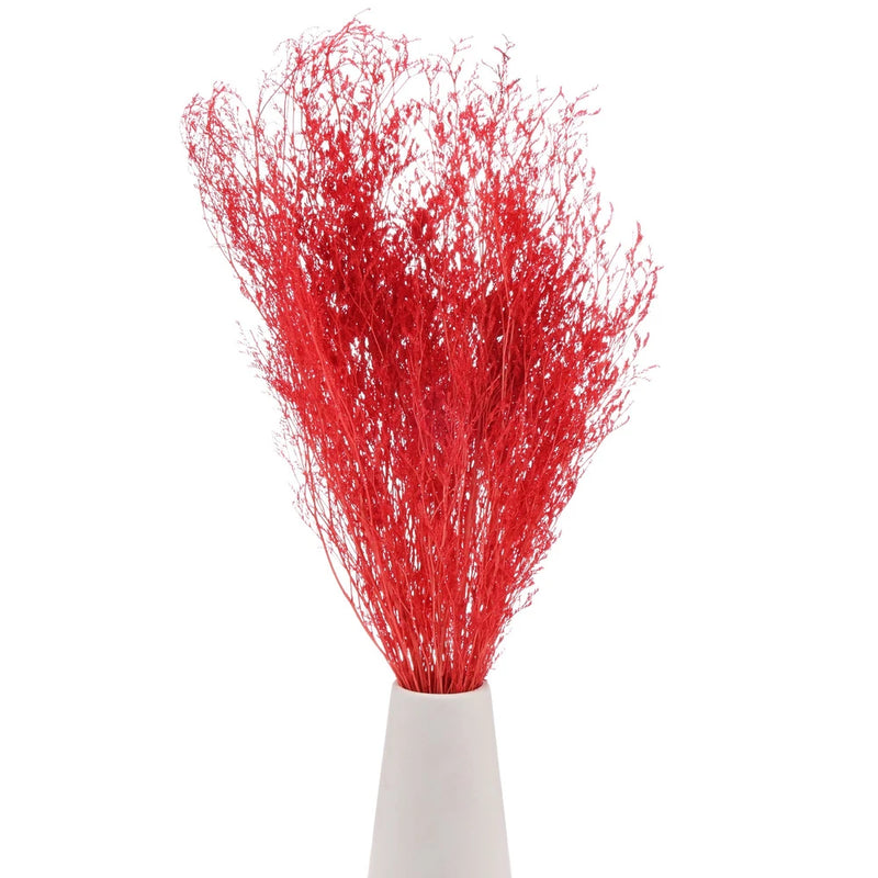 Dried limonium flower bouquet, orange-red slender stems in white vase