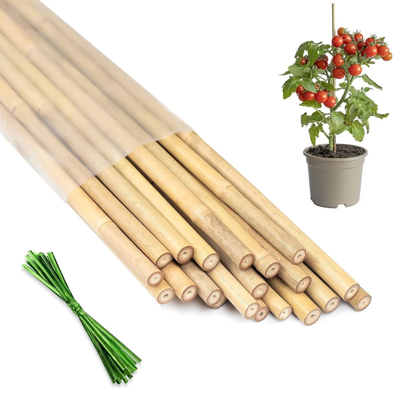 Natural bamboo plant stakes, 18-inch sticks bundle with green ties for garden support