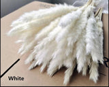 15PCS Natural Dried Pampas Grass 24 In. Reed Flower Wedding Bouquet Home Decors Bouquet