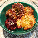 Bulk Straw Flower Blossoms for Crafts, Dried Flowers for Candle Making, Sachets Dried Flower