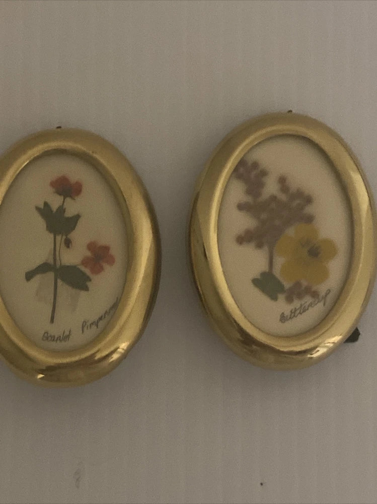 Set of two oval brass frames with pressed dried flowers, red and green