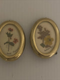 2  Pressed Dried Flowers Brass Frames Irish Ireland Buttercup Scarlet Pimpernel Dried Flower
