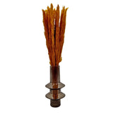 Bergamo Art Bundle of 4 Preserved Flowers Small Pampass Grass 20" long in Orange Pampas Grass
