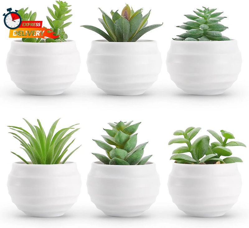 Der Rose Set of 6 Succulents Plants Artificial in Pots Small Fake Plants for Bed Green Plant