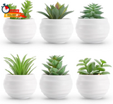 Der Rose Set of 6 Succulents Plants Artificial in Pots Small Fake Plants for Bed Green Plant