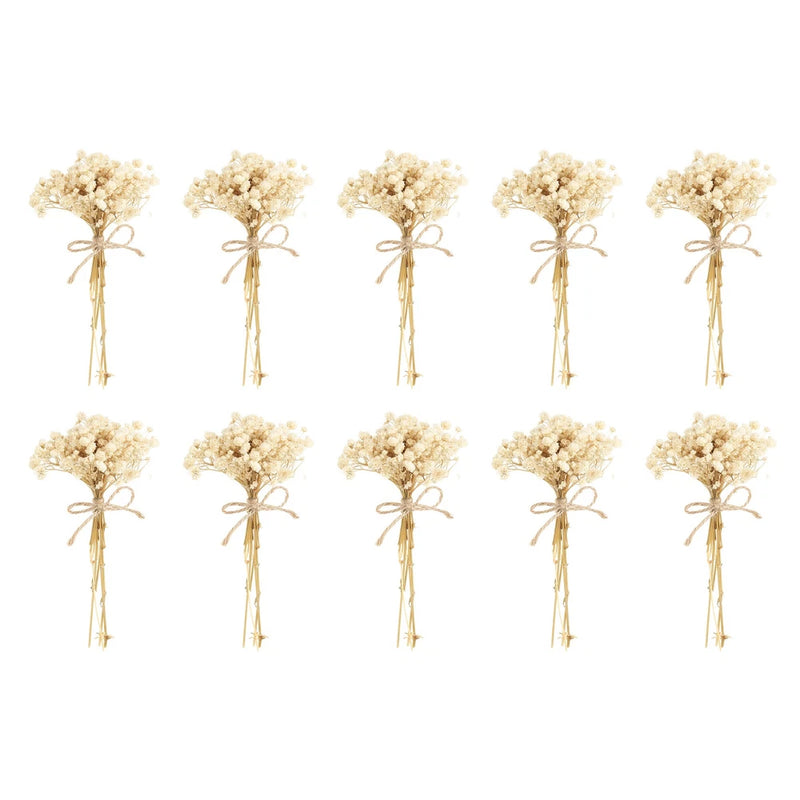 Set of 10 mini dried baby's breath bouquets with twine ties