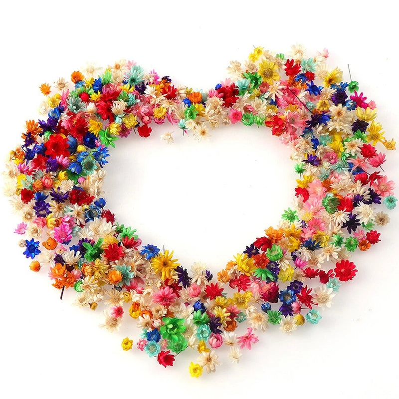 Round wreath of multicolored mini dried flowers for DIY decor