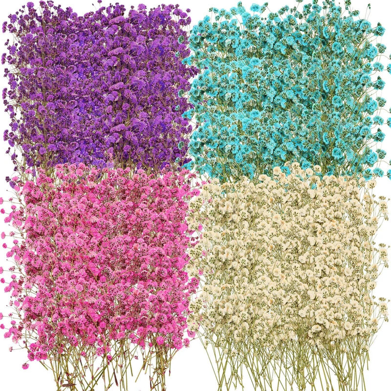 Preserved baby's breath flower bunches in purple, blue, pink, and white