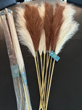 FAUX PAMPAS GRASS! Pack of 3 PCS total length 42 inches, beige color. Pampas Grass