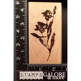 Penny Black Rubber Stamps 2831K CARNATION GARDEN SOFT BRUSHED FLOWERS #890 Carnation