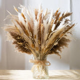 106pcs Artificial Flowers in Vase Natural Dried Pampas Grass Decor with Vase ... Pampas Grass