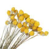 30 Pcs 16 Inch Dried Flowers for Vase Mini Pine Ball Flowers Yellow Dried Flower