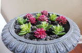 Artificial Grass Miniature Succulents Plants Red Green Lotus Stone 12 Pcs (M25) Green Plant