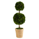 Nearly Natural 2.5ft. Preserved Boxwood Double Ball Topiary Tree in Decorative P Green Plant