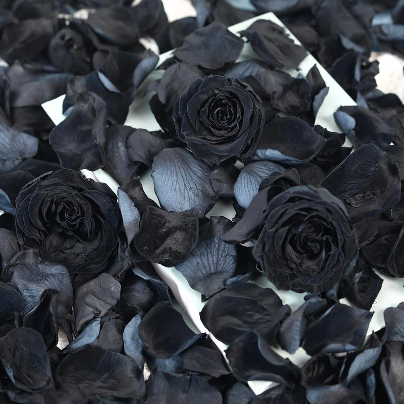 Black dried rose petals with small dark rose blooms for decor