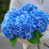 5 Pcs 18.5 inch Faux Silk Blue Hydrangea Artificial Flowers, Fake Flowers wit... Hydrangea