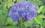Hydrangea painting, Original watercolor art, Fine Art, Floral, Flowers, Garden Hydrangea