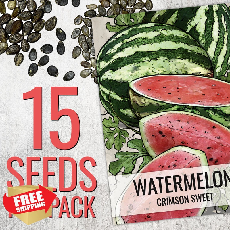 Seed Needs Watermelon Seeds Non-GMO Heirloom Garden Planting 3 Packs Garden Plants