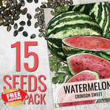 Seed Needs Watermelon Seeds Non-GMO Heirloom Garden Planting 3 Packs Garden Plants