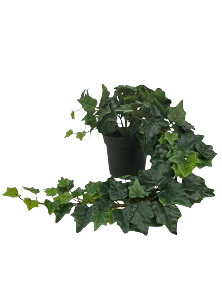 New IKEA FEJKA Artificial Potted Plant Hanging Ivy 15 cm (6 ") 806.008.52 Green Plant