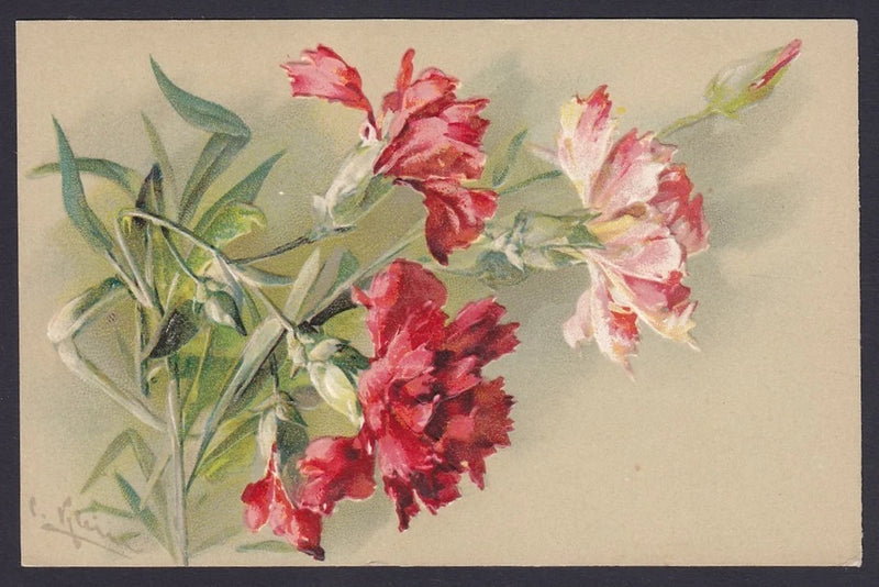 Embossed carnation flower postcard with pink and red floral relief