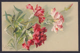 Catharina KLEIN 04 Illustrator FLOWERS - CARNATIONS Embossed Postcard RELIEF Carnation