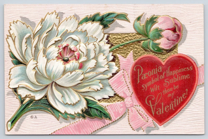 Valentine Embossed Postcard c1910-White Peony Flower-Paeonia symbol of happiness Peony