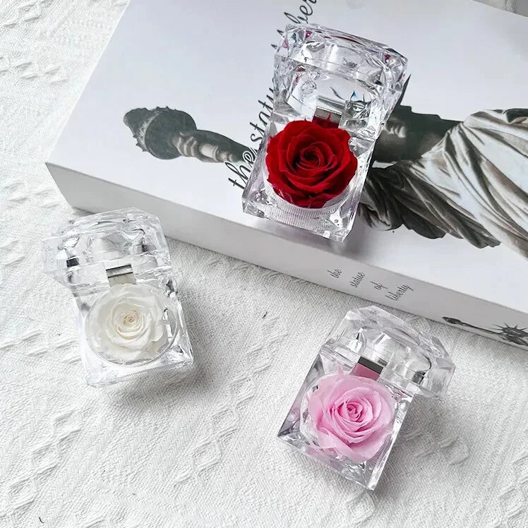 Rose gift box set with three clear square boxes and one red, white, and pink rose