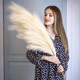 LUXIVANCE Faux Pampas Grass Large|3 Stems Ivory Beige 43 Tall, Cream, Pampas Grass