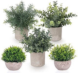 Set of 5 Mini Potted Artificial Plants Fake Small Eucalyptus Greenery Plastic... Green Plant