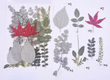 21PCS Real Pressed Dry leaves collection, different leaves as picture FCD502 #3 Dried Flower
