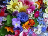 Organic Flowers 1-A Garden Plants