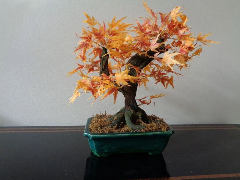 Maple Bonsai Decorative Silk Plant 16-Inch Orange in Green Ceramic Planter Green Plant