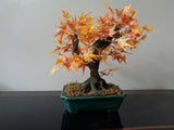 Maple Bonsai Decorative Silk Plant 16-Inch Orange in Green Ceramic Planter Green Plant