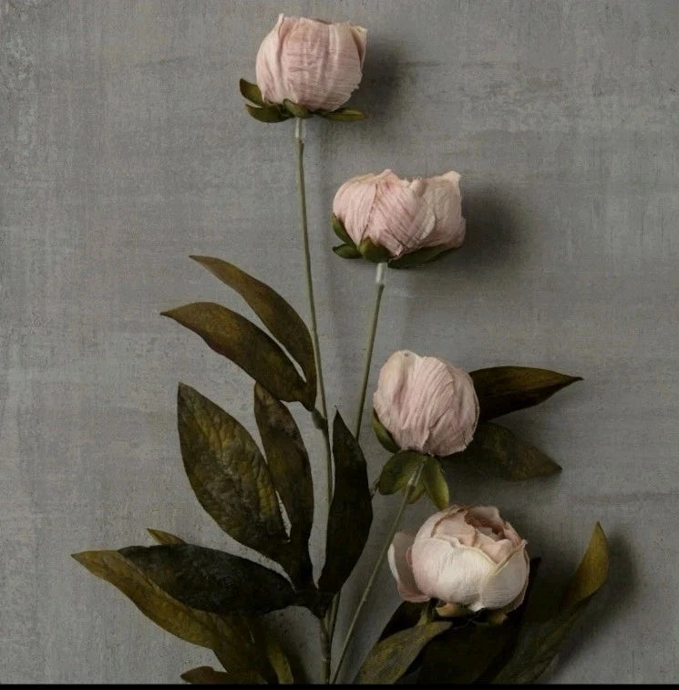 Pink peony stem arrangement with four pale blooms and green leaves