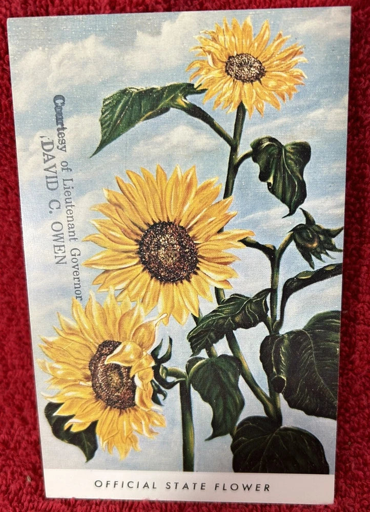 Sunflower, Official State Flower, Kansas 1970Õs Postcard Lt Governor Owens Stamp Sunflower