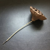 Vintage Natural Dried Lotus Pod with Long Stem for Floral Arrangements 8.5"L Dried Flower