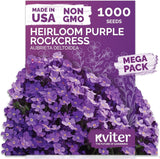 1,000 Purple Rock Cress Seeds Perennial (Aubrieta Deltoidea) - Aubrieta Seed, Li Garden Plants