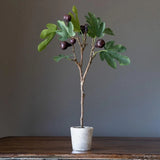 Mission Fig Topiary Artificial Plant Decorative Home Decor Green Green Plant
