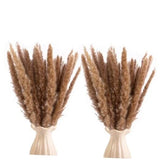 120pcs Dried Brown Pampas Grass, 17" Natural Dried Pampas Grass Brown 120 PCS Pampas Grass