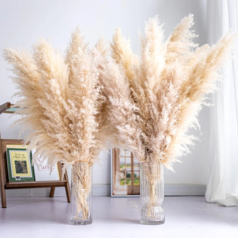 Tall Pampas Grass 10PCS Boho Decor Natural Home Decor Phragmites Dried Flowers B Pampas Grass