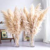 Tall Pampas Grass 10PCS Boho Decor Natural Home Decor Phragmites Dried Flowers B Pampas Grass