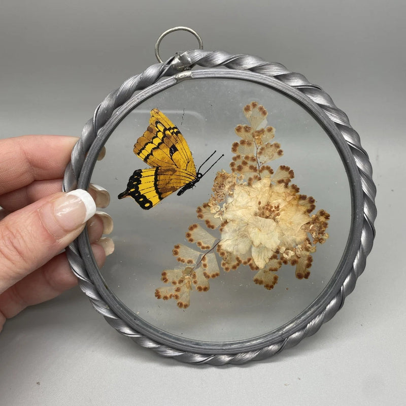 Round glass-framed pressed dried flowers wall decor with yellow butterfly and hanging loop