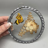 Lasting Impressions Glass Framed Pressed Dried Flowers Butterfly Wall Decor Dried Flower